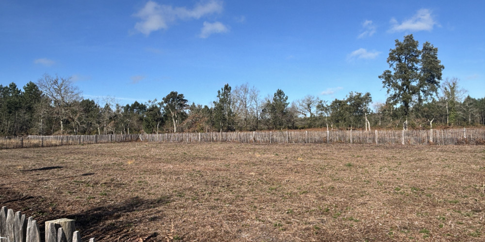 terrain à MOLIETS ET MAA (40660)